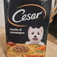 Bocconcini per cane Cesar