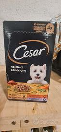 Bocconcini per cane Cesar