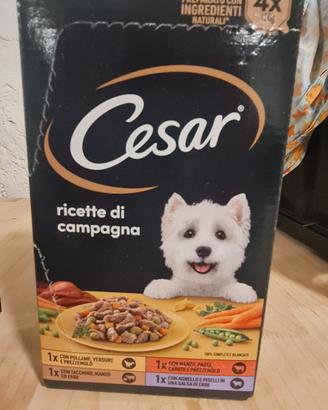 Bocconcini per cane Cesar