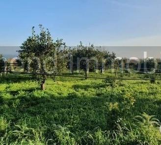 Terreno 15.000mq a Piedimonte Etneo