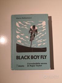 Black Boy Fly