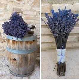 Mazzo di lavanda essiccata 