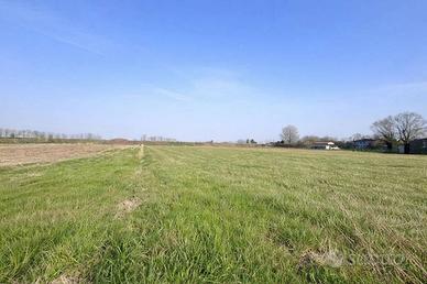 Terreno di 3595 m² a Castagnaro