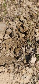 Terra da riempimento