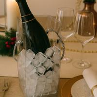 Sacchetti Glacette trasparente per vino champagne