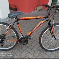 bicicletta mountain bike