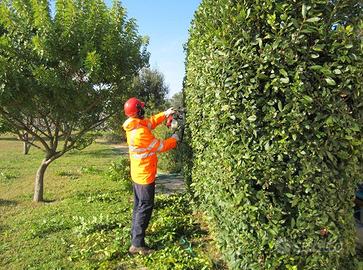 GIARDINO  TAGLIO SIEPI