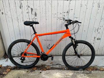 BICI RECORD TAGLIA L