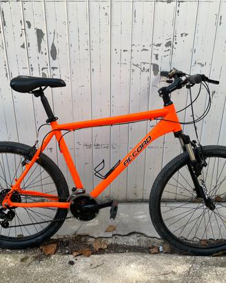 BICI RECORD TAGLIA L