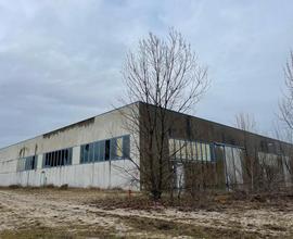 Capannone industriale con ampio terreno pertinenzi