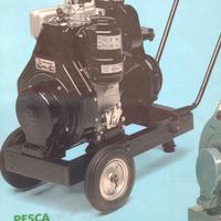 Motopompa Lombardini 14 hp