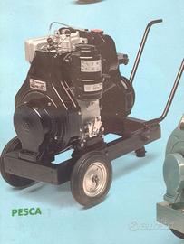 Motopompa Lombardini 14 hp