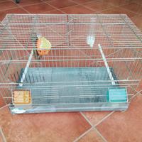 GABBIA PER UCCELLI