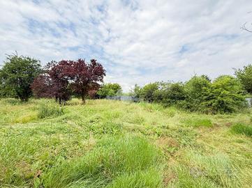 TER. AGRICOLO A FILAGO