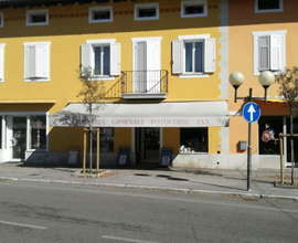 Attività commerciale cartoleria edicola cancelleri