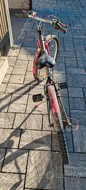 bicicletta 