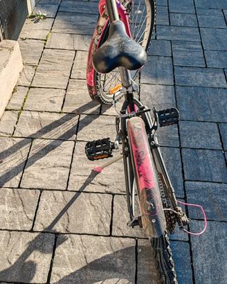bicicletta 
