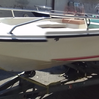Barca open Elba 450