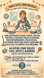 pulizie