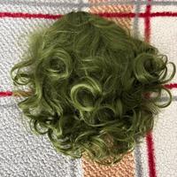 Parrucca verde joker