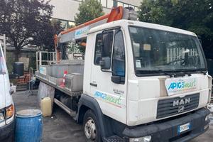 Piattaforma aerea 25 multitel