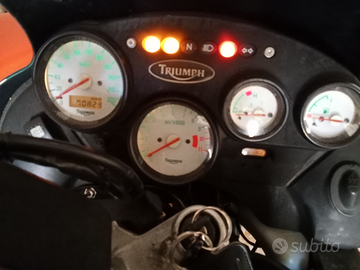 Triumph Tiger 955