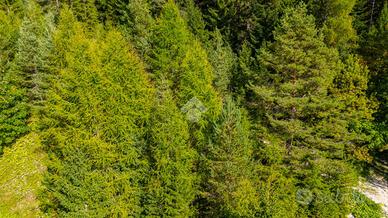 TER. AGRICOLO A FOLGARIA