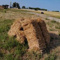 balle di paglia rettangolari