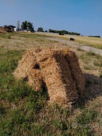 balle di paglia rettangolari