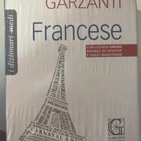 Dizionario Francese