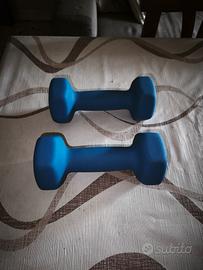 Manubri da 2 kg