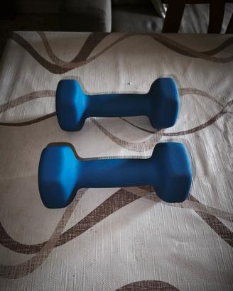 Manubri da 2 kg