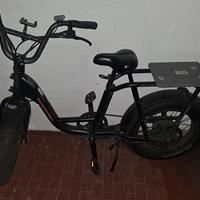 bicicletta elettrica 