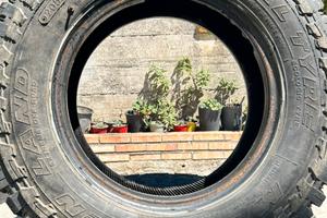 Pneumatici fuori strada