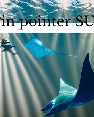 PIN POINTER STAGNO fino a 30 metri