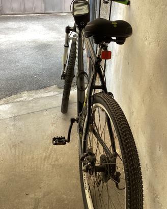 Mtb Legnano