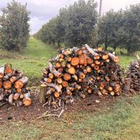 Legna da Ardere per Camino / Stufa