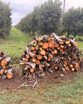 Legna da Ardere per Camino / Stufa