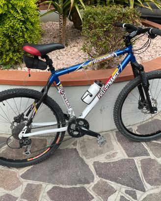 Mountain bike