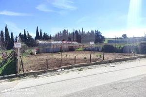 Terreno di 500 m² a Alcamo