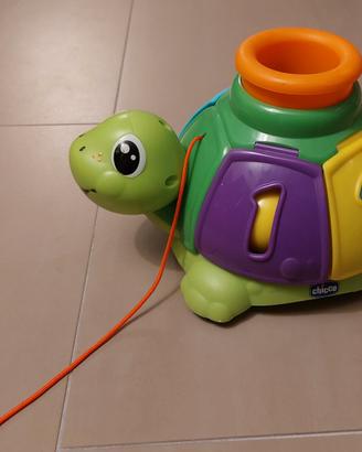 Tartaruga giocattolo