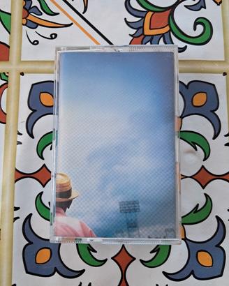 Ligabue su e giù da un palco