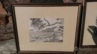 Serigrafie su seta firmate Giuseppe Mario D'Amico