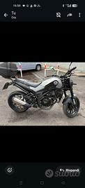 Benelli Leoncino