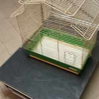 gabbia per uccelli da compagnia 