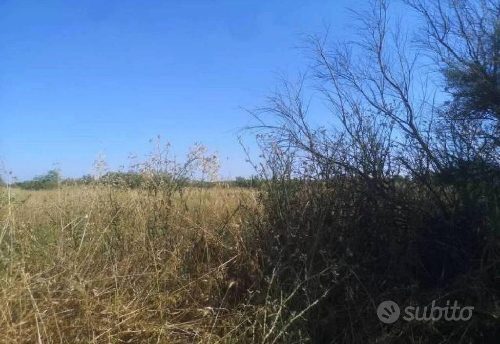 Immobile in asta di 89313 m² a Fiumicino - Vista 5