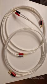 Cavo QED Revelation Signature 