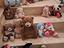Immagine 1
