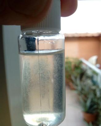 Inoculo Starter 15ml Anguillole dell'aceto