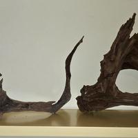 Legni per acquario 3 pezzi